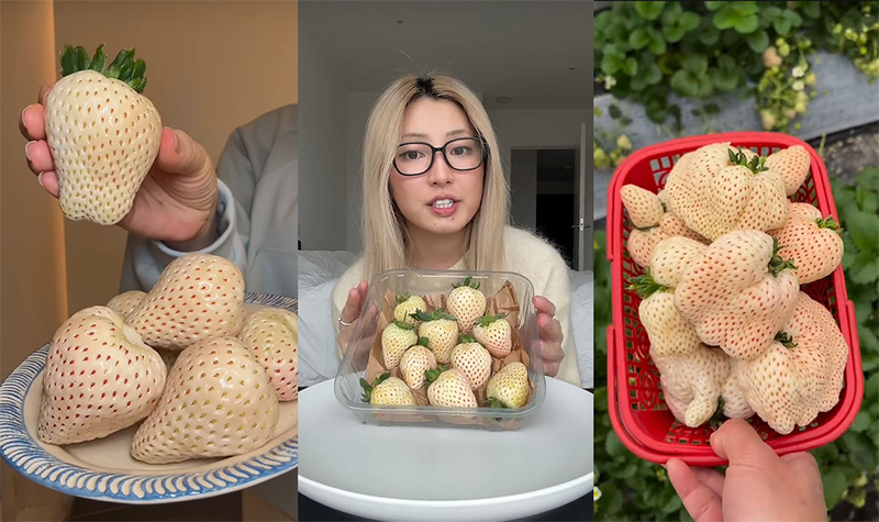 Tiktok @april_countryside_life, @byfooddiegal